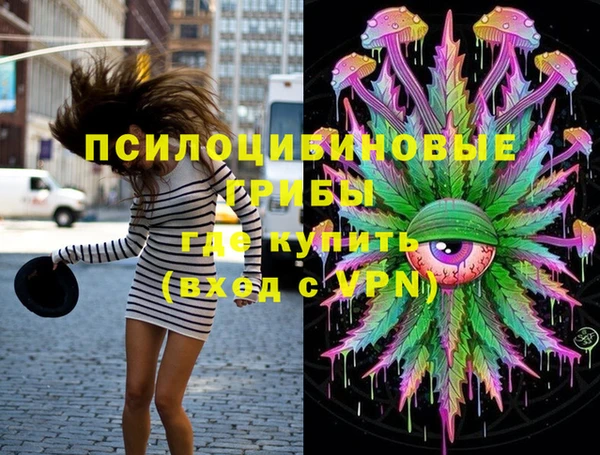 твердый Алексеевка